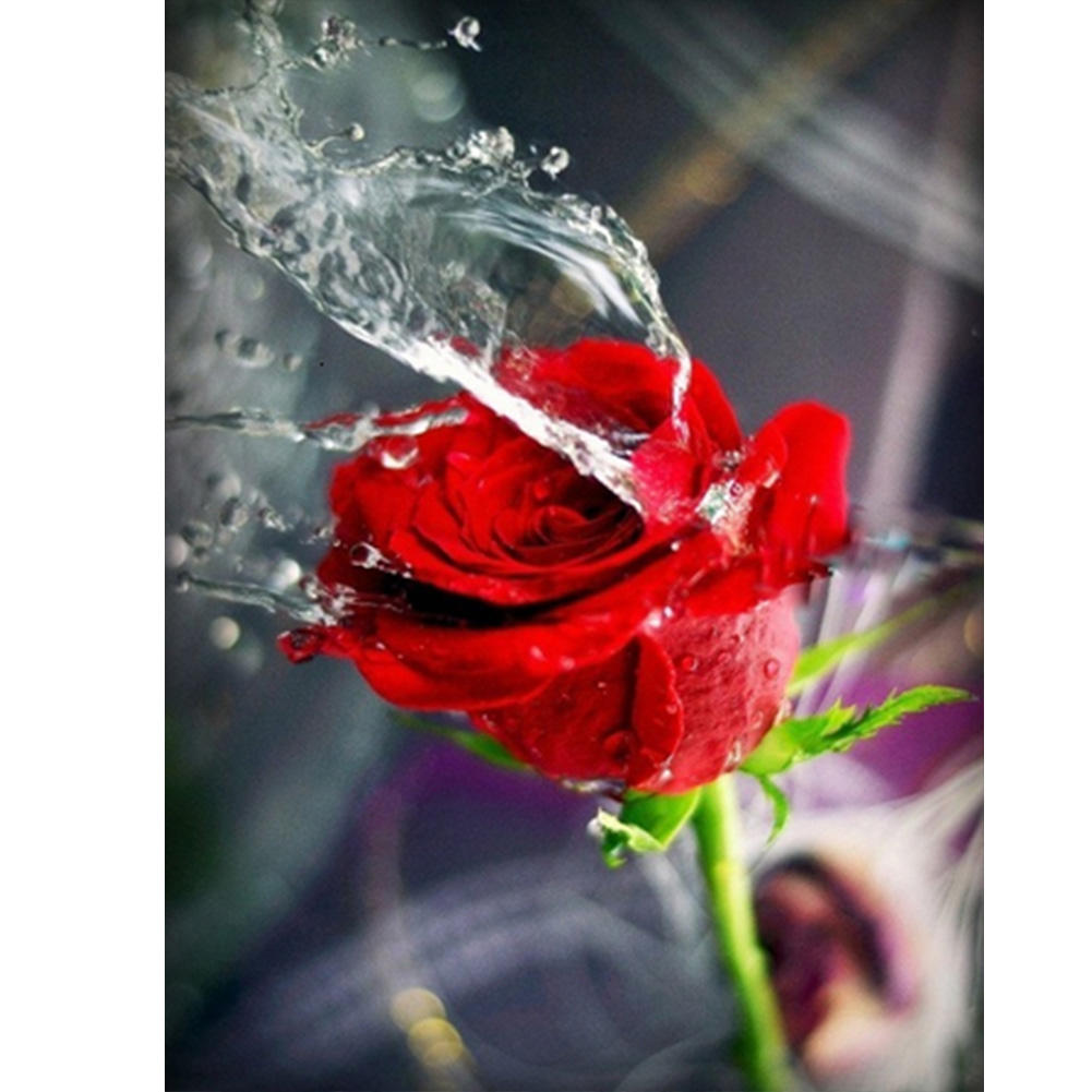 

30*40CM - Round Drill Diamond Painting - Red Rose, 501 Original