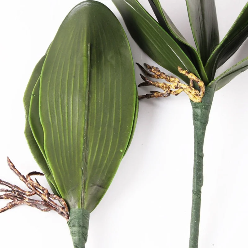 1PCS Real Touch Artificial Green Butterfly Orchid Plastic Leaf Beauty Plant Decor For Wedding Decor DIY Wreath Gift