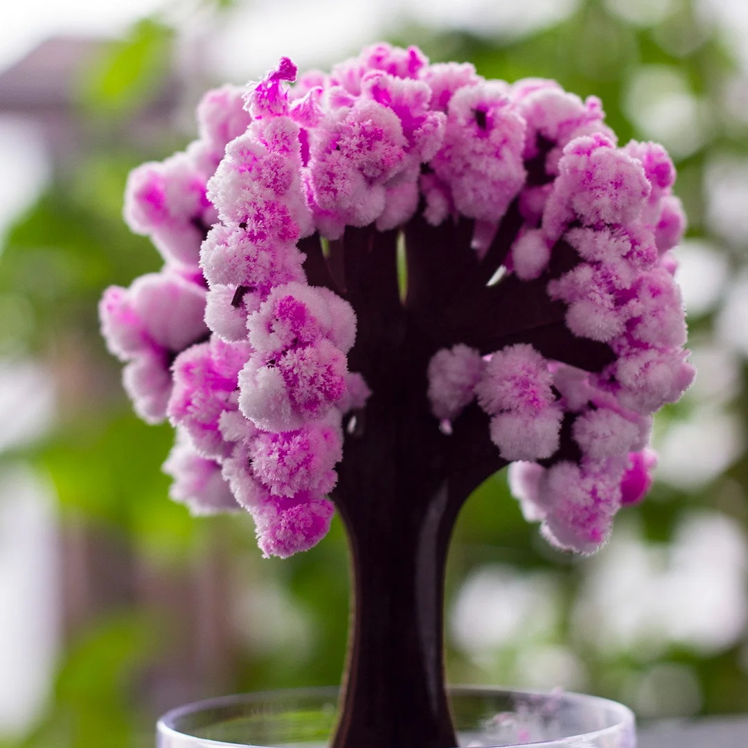 Magic Growing Cherry Tree DIY