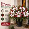 🎄Posledn&iacute; den 50% SLEVA🔥V&aacute;nočn&iacute; vložky do květin&aacute;čů s v&aacute;nočn&iacute; hvězdou