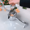 Manual Fruit Juicer