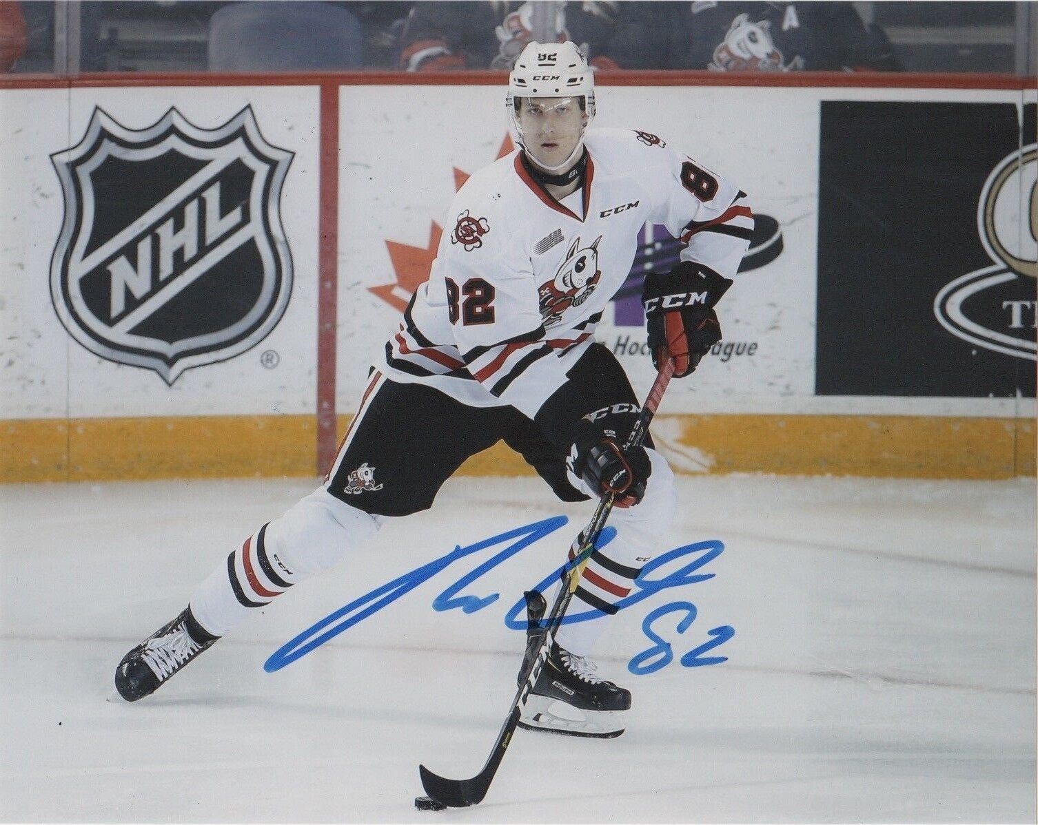 Niagara Ice Dogs Daniel Bukac Signed Autographed 8x10 NHL Photo Poster painting COA #5