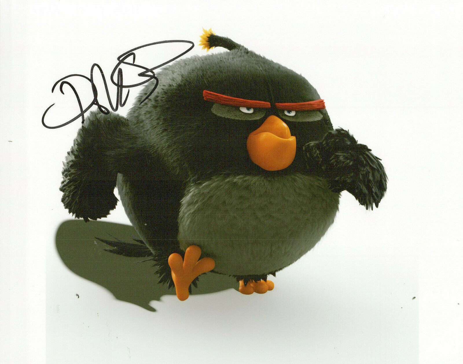 Danny McBride The Angry Birds Movie autographed Photo Poster painting signed 8X10 #1 Bomb