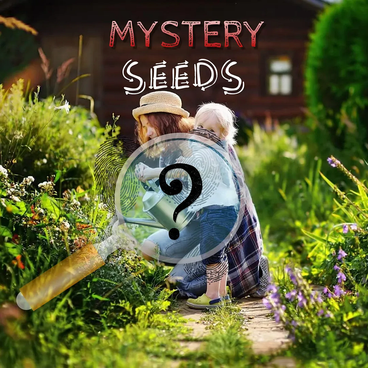 Mystery Seeds - Unlock A Secret Garden Surprise! 🌱