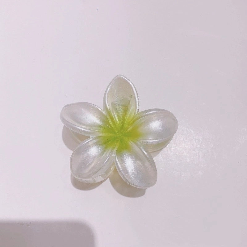 2 Pieces Women’s Sweet Flower Arylic Hair Claws