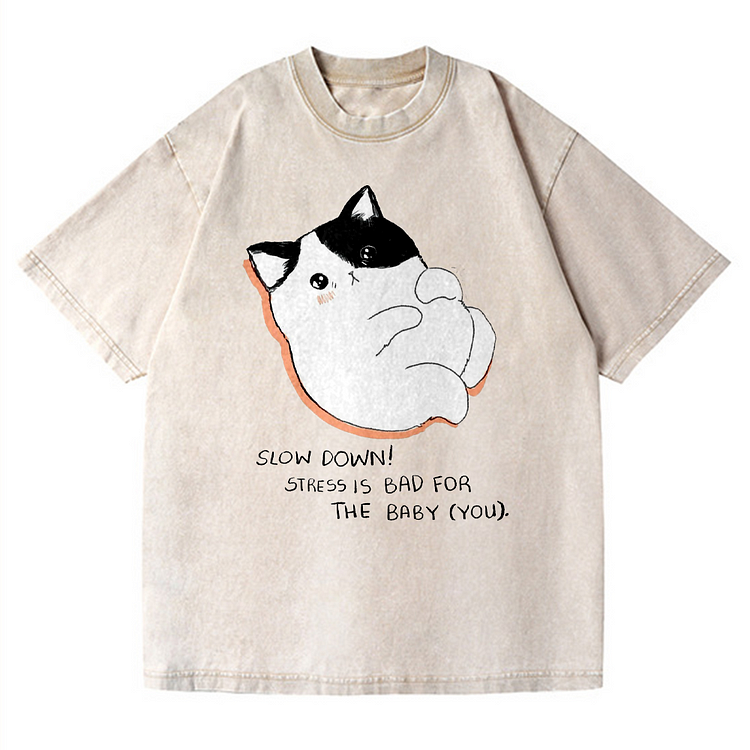 Slow Down Men's washed T-shirt