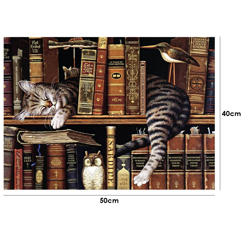 Cat Books - Paint By Number(50*40cm)