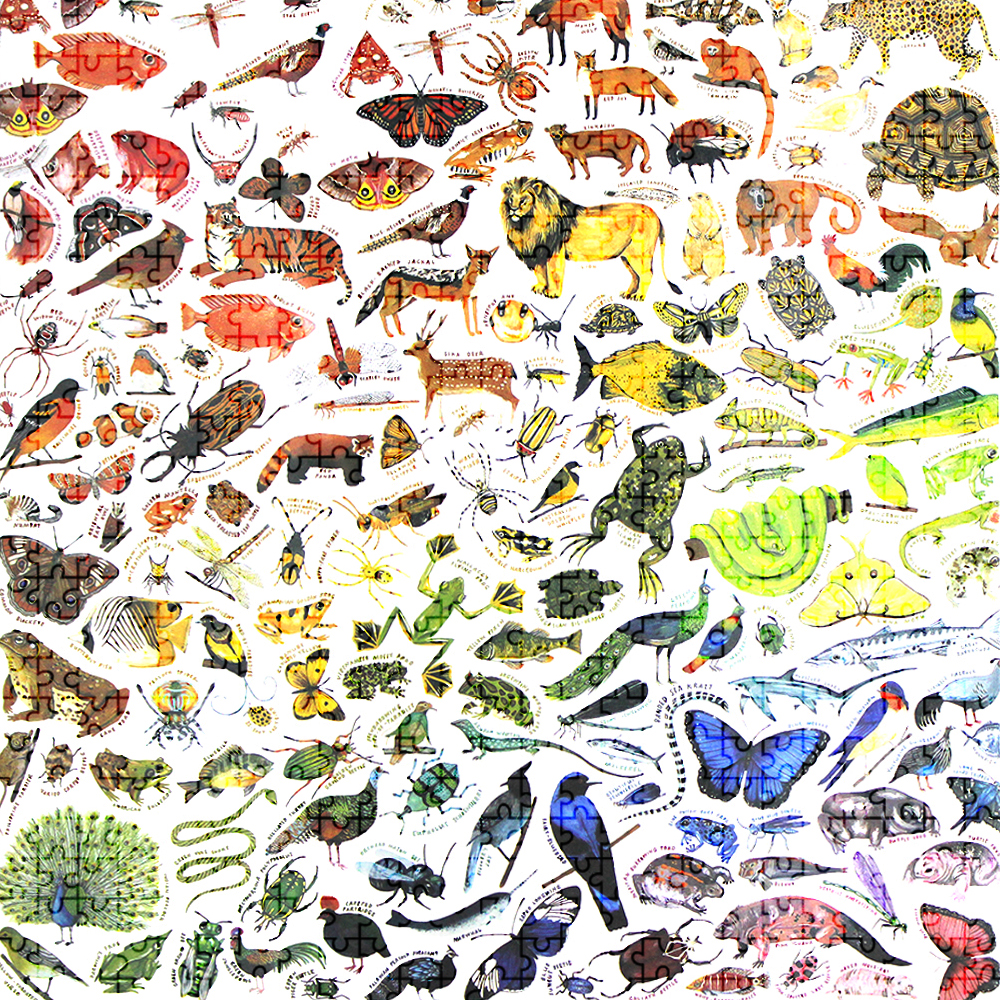 

Animals Insects - 1000 Pieces Jigsaw Puzzle, 501 Original