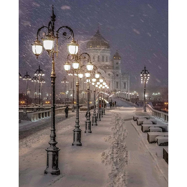 Winter Snow View  Full Round Diamond Painting 30*40CM
