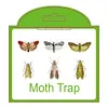 5Pcs Pantry Moth Traps with Pheromones Prime Powerful Moth Traps (Black)