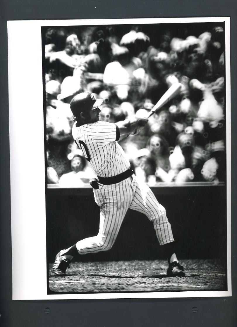 Ron Santo Original 8x10 Photo Poster painting Action Swinging Bat Chicago Cubs