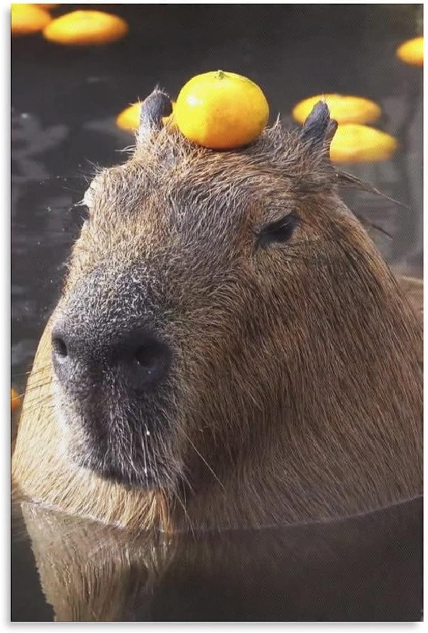 Animal Capybara Bathing Orange Canvas Poster Bedroom Decor Sports Landscape Office Room Decor Gift,Canvas Poster Wall Art Decor Print Picture Paintings for Living Room Bedroom Decoration 8x12inchs(20x 8x12inchs(20x30cm)