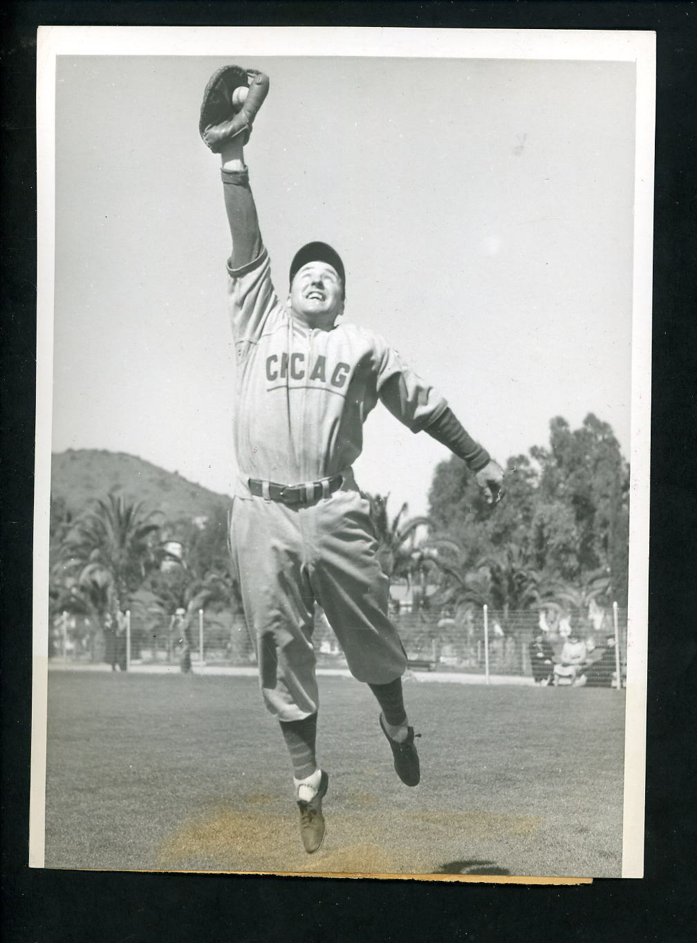 Ripper Collins 1939 Type 1 Press Photo Poster painting Chicago Cubs Spring Training at Catalina