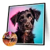 Diamond Painting-DIY Full Round Drill Dog(40*40 CM)