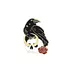 Elegant Mysterious Raven