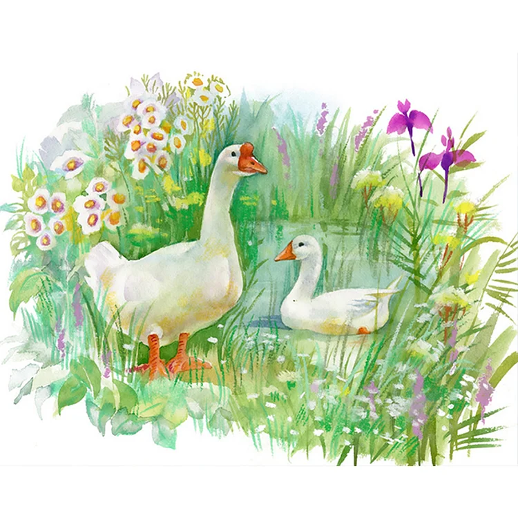 Green Meadow Ducks - Painting By Numbers - 50*40CM gbfke