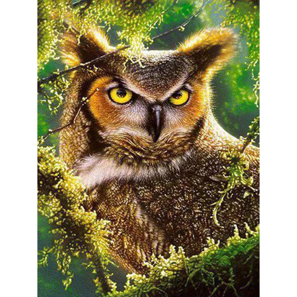 

30*40CM - Owl - Round Drill Diamond Painting, 501 Original