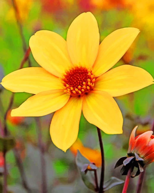 

Yellow Dahlia – Paint By Numbers - 40*50CM, 501 Original