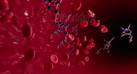 【OFFICIAL STORE】Bikenda&trade; Precision Glucose Monitoring Premium 👨&zwj;⚕️Non-invasive Medical Device + Exclusive Gift [99.9% Accuracy]