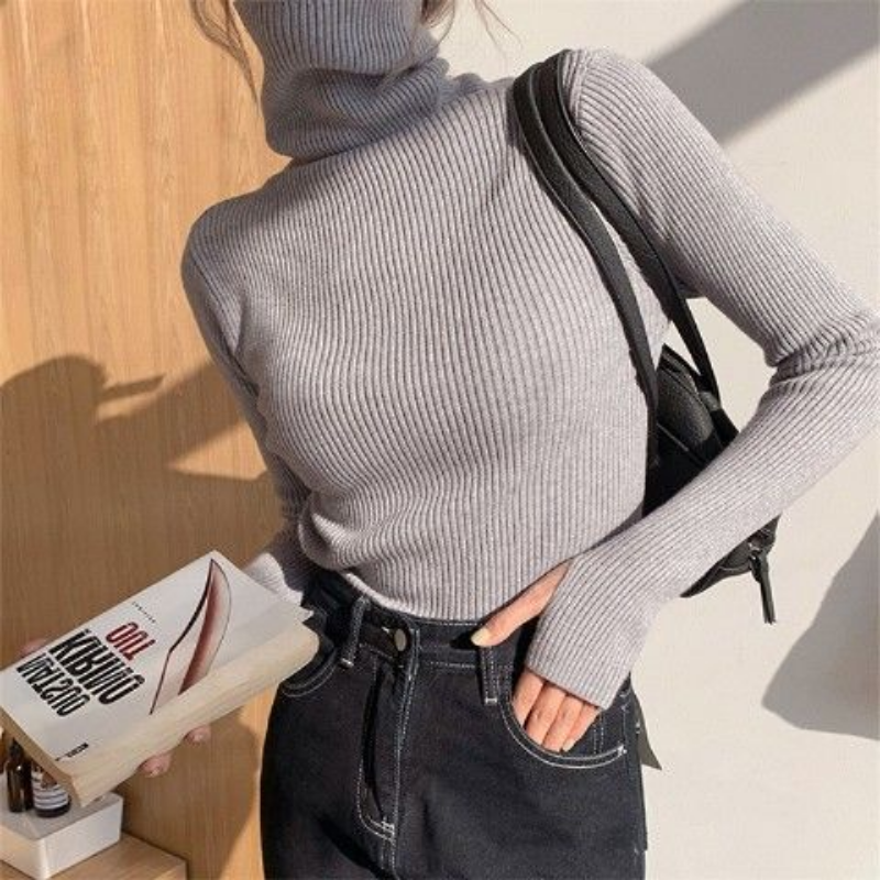 Toloer Winter Pullover Women Turtleneck Sweaters Casual Soft Heaps Collar Knit Sweater Women 2022 Basic Tops Warm Jumper 23797
