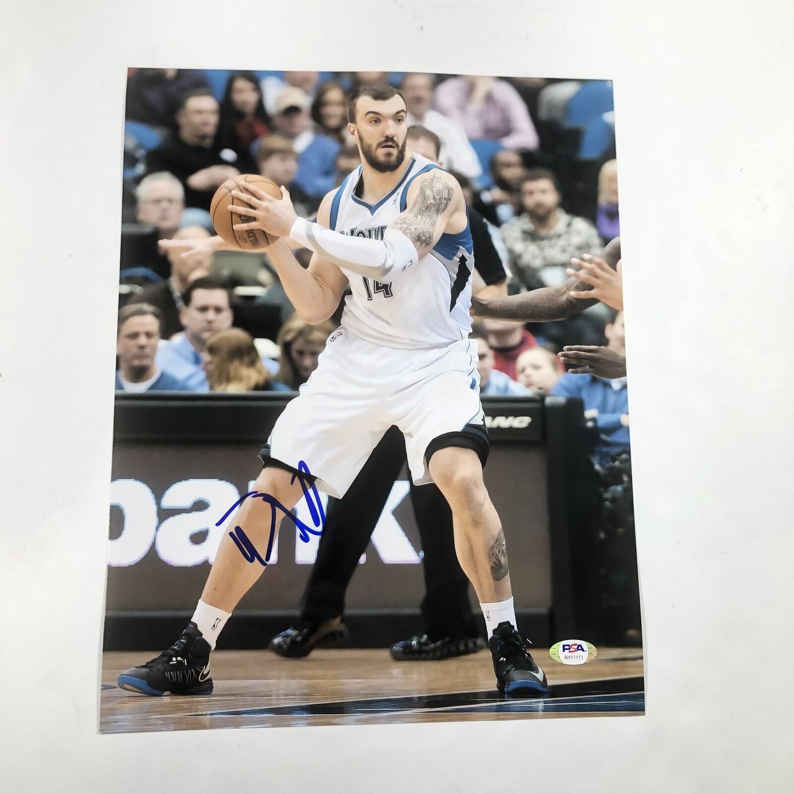 Nikola Pekovic signed 11x14 Photo Poster painting PSA/DNA Minnesota Timberwolves Autographed