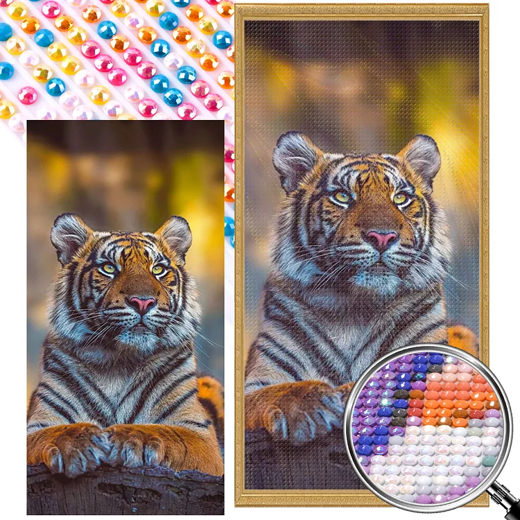 Tiger Photo 40*80CM (Canvas) Full AB Round Drill Diamond Painting gbfke