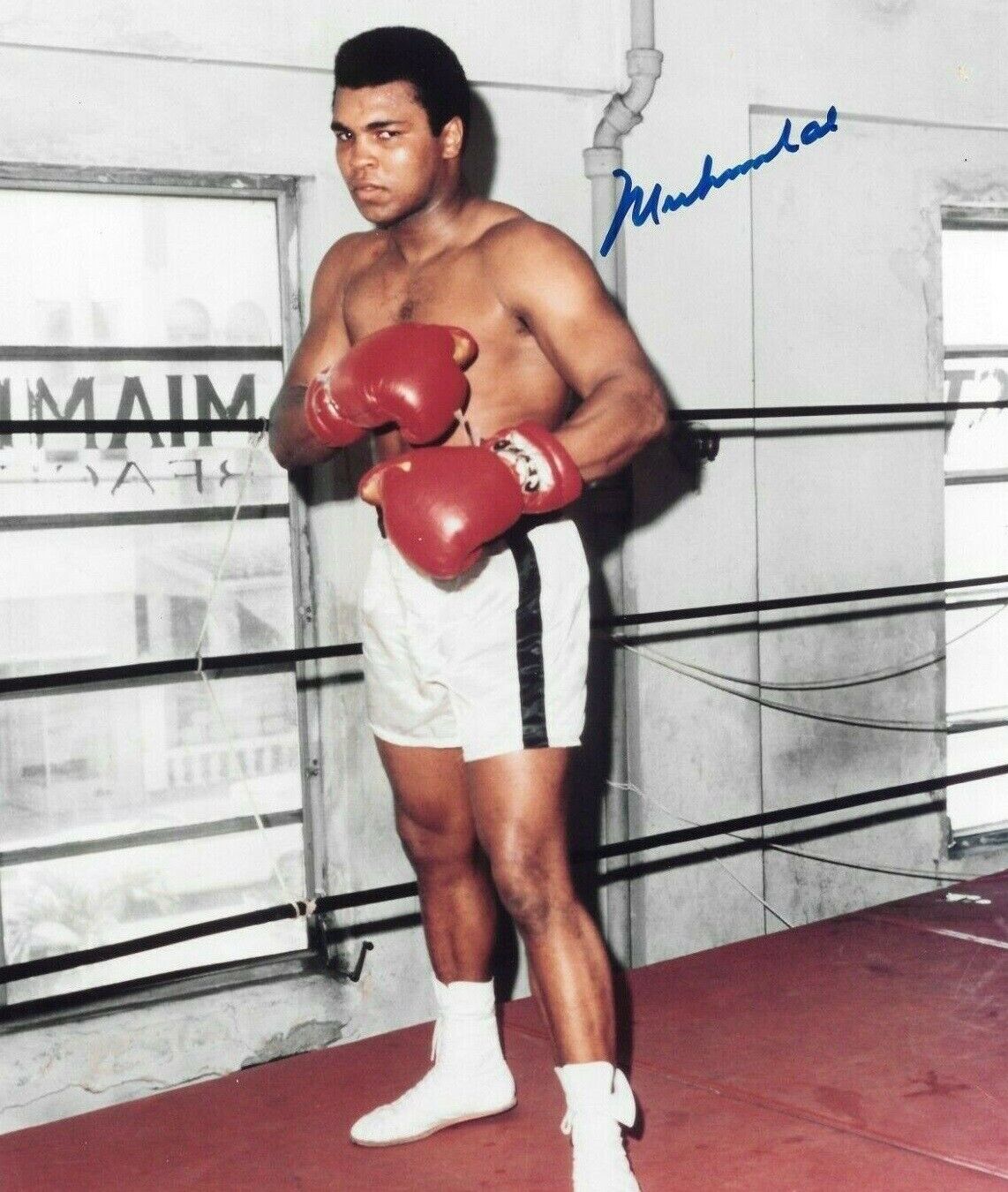 Muhammad Ali Autographed Signed 8x10 Photo Poster painting REPRINT