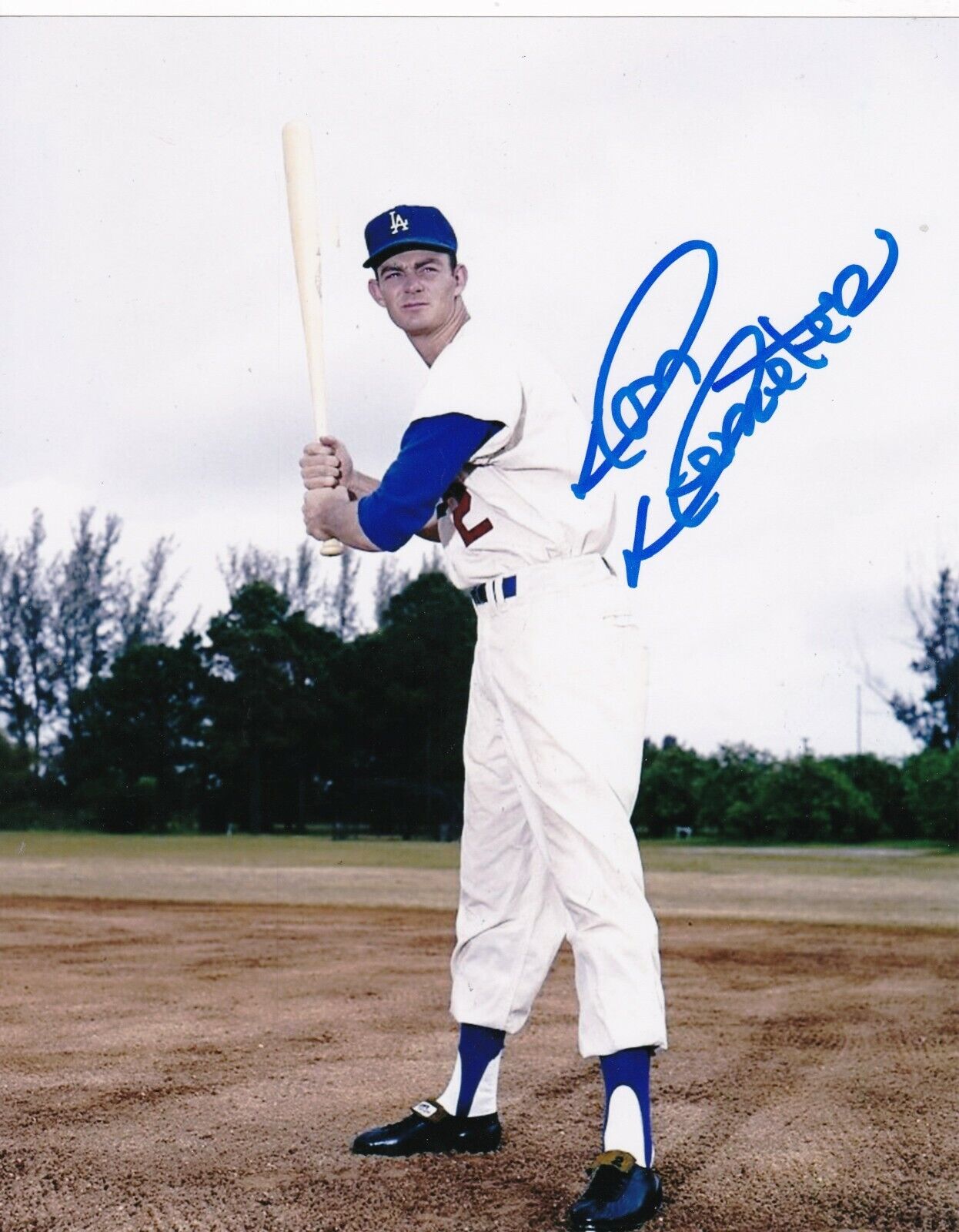 DON DEMETER LOS ANGELES DODGERS ACTION SIGNED 8x10