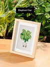 12pcs Mini Square Diamond Painting-Houseplants