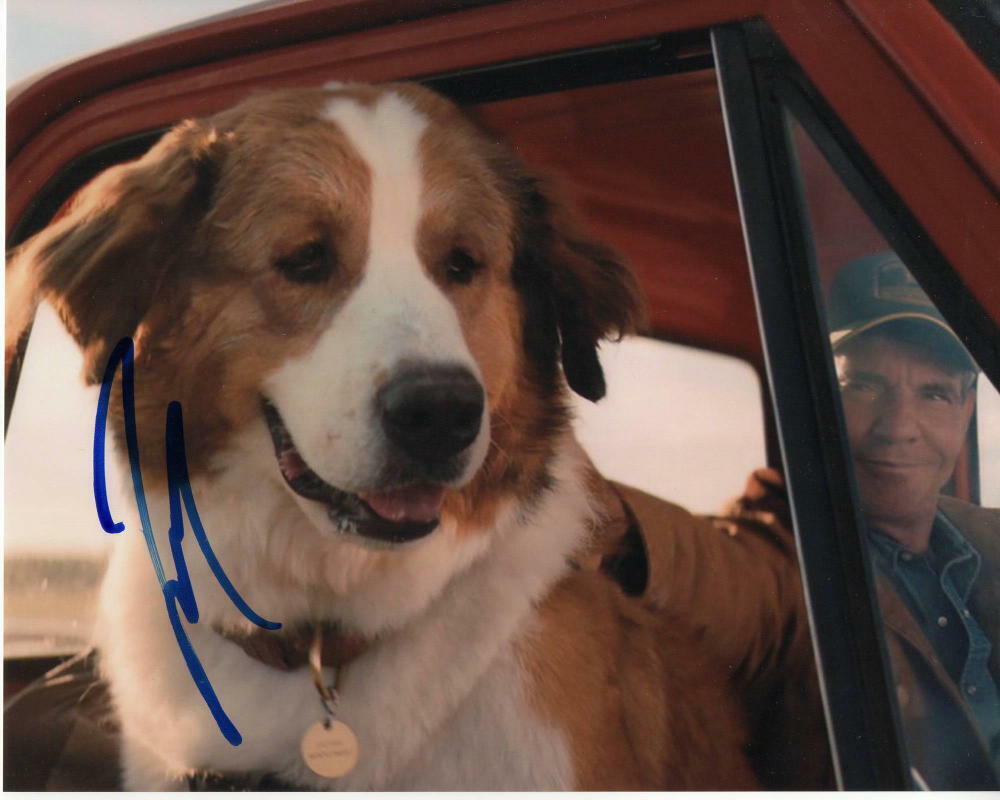 JOSH GAD SIGNED AUTOGRAPH 8x10 Photo Poster painting - OLAF, FROZEN, A DOG'S PURPOSE, JOURNEY C