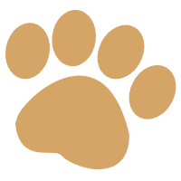 paw