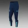 2023/2024 Ajax Half-Pull Training Suit Royal blue Football Shirt 1:1 Thai Quality Set