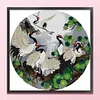 Cat Bird - Partial Embroidery 2 Strands 14CT Stamped Cross Stitch - 43*43CM