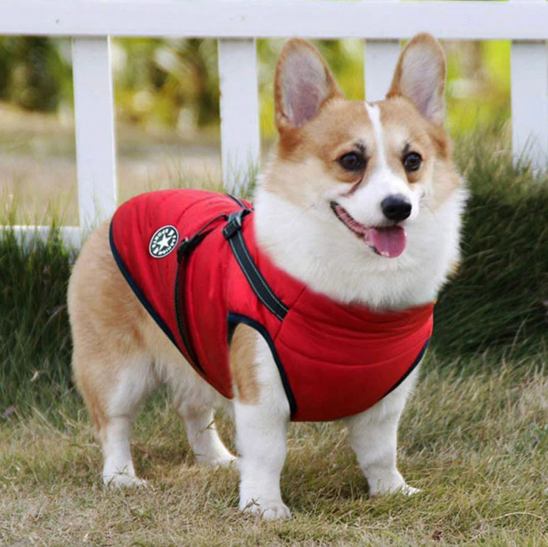 Multifunctional Dog Coat with Adjustable Buckle Waterproof Warm Dog Jacket for Medium and Large Dogs
