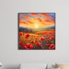 Fleur de coquelicot-plein rond diamant peinture-30 * 30cm