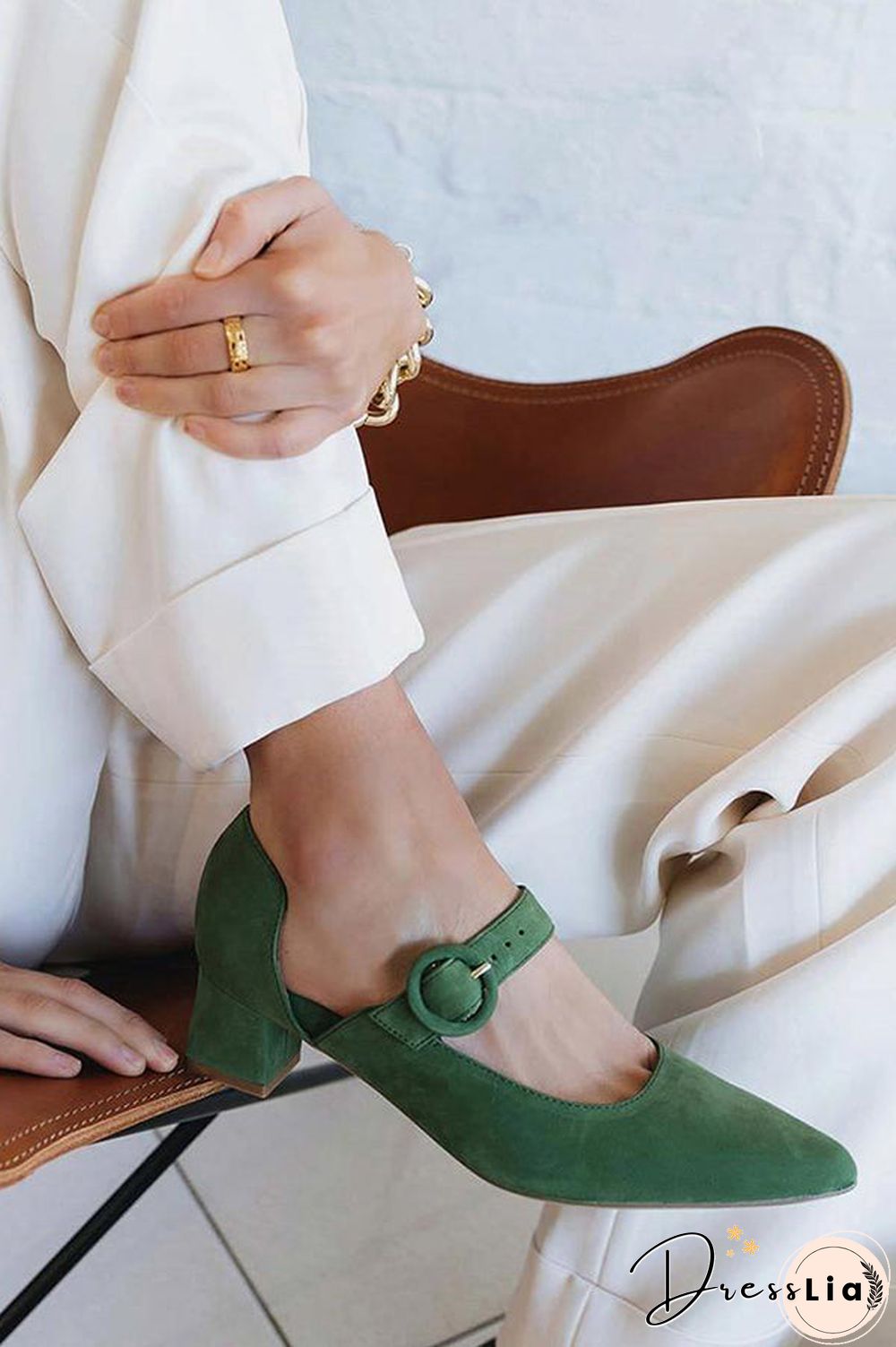 Pointed Toe Buckled Chunky Heels