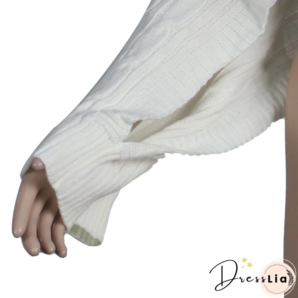 Solid Color Turtleneck Bat Sleeve Sweater Crop Top