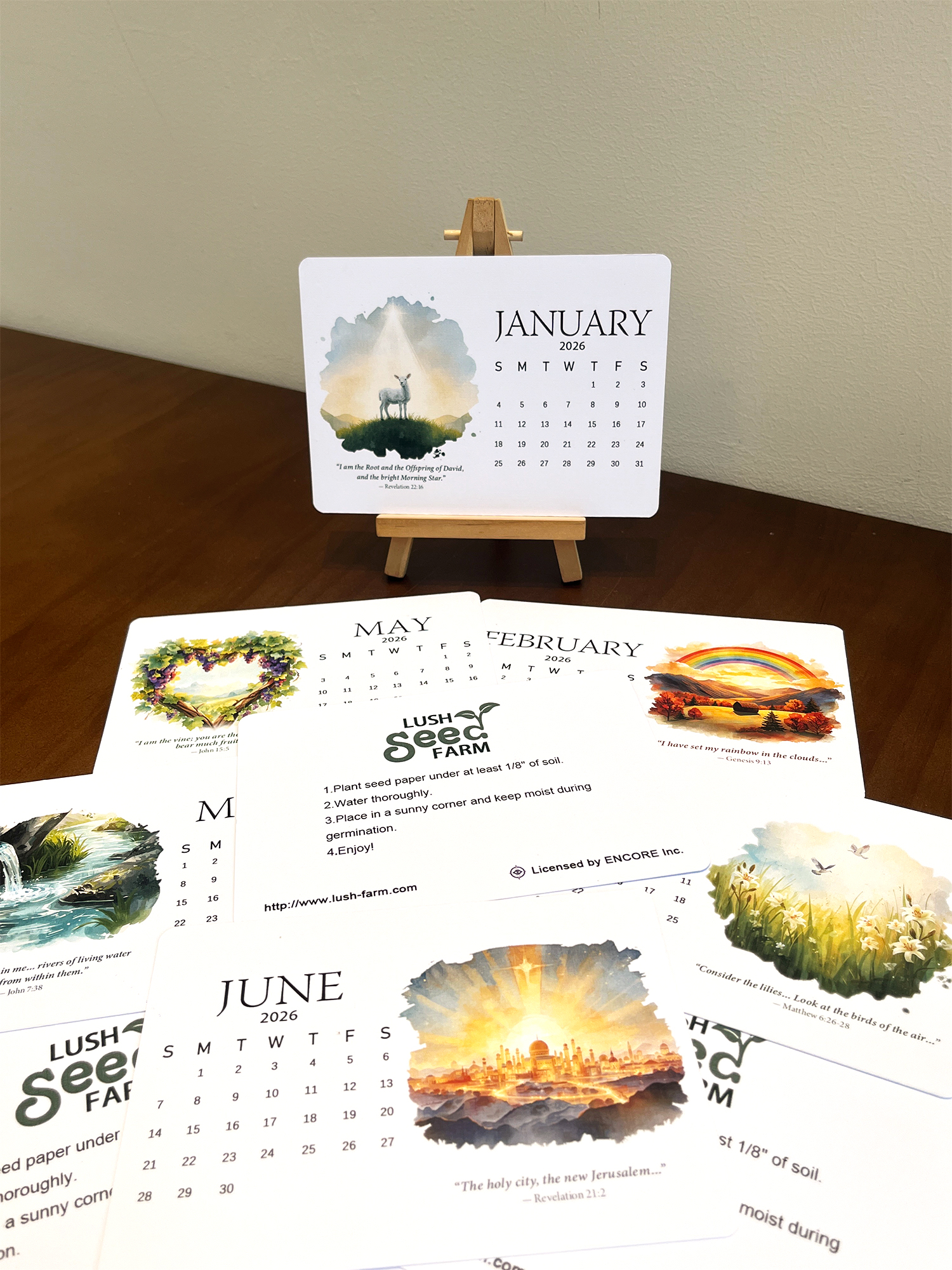 ✨Last Day 49% OFF ⏰ &ndash; 🌿Bible-Inspired Seed Calendar 2026 &ndash; Grow in Faith & Beauty 🌸
