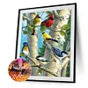 (5 Sizes) Birds Tree-Full Square Diamond Painting