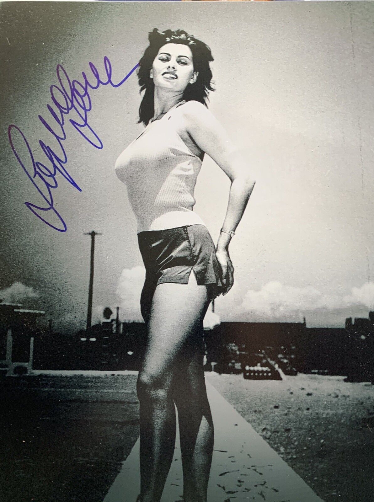 sophia loren signed Auto 8x10 Photo Poster painting Pic