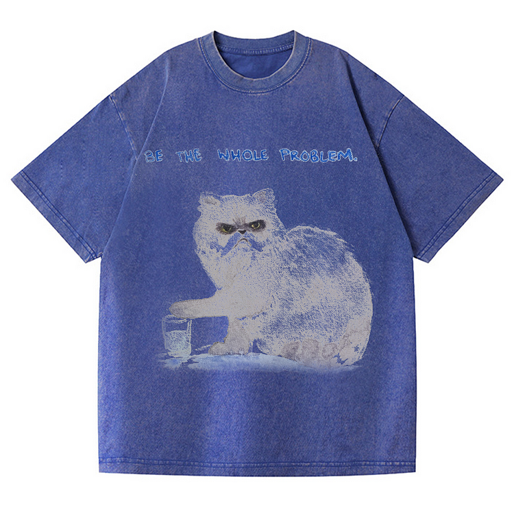 Be The Whole Problem Men's washed T-shirt