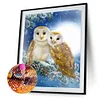 Best lowest diamond painting - Coodeals diamond painting