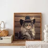 Désert cool cowboy chat à poil long-plein rond diamant peinture-30 * 30cm