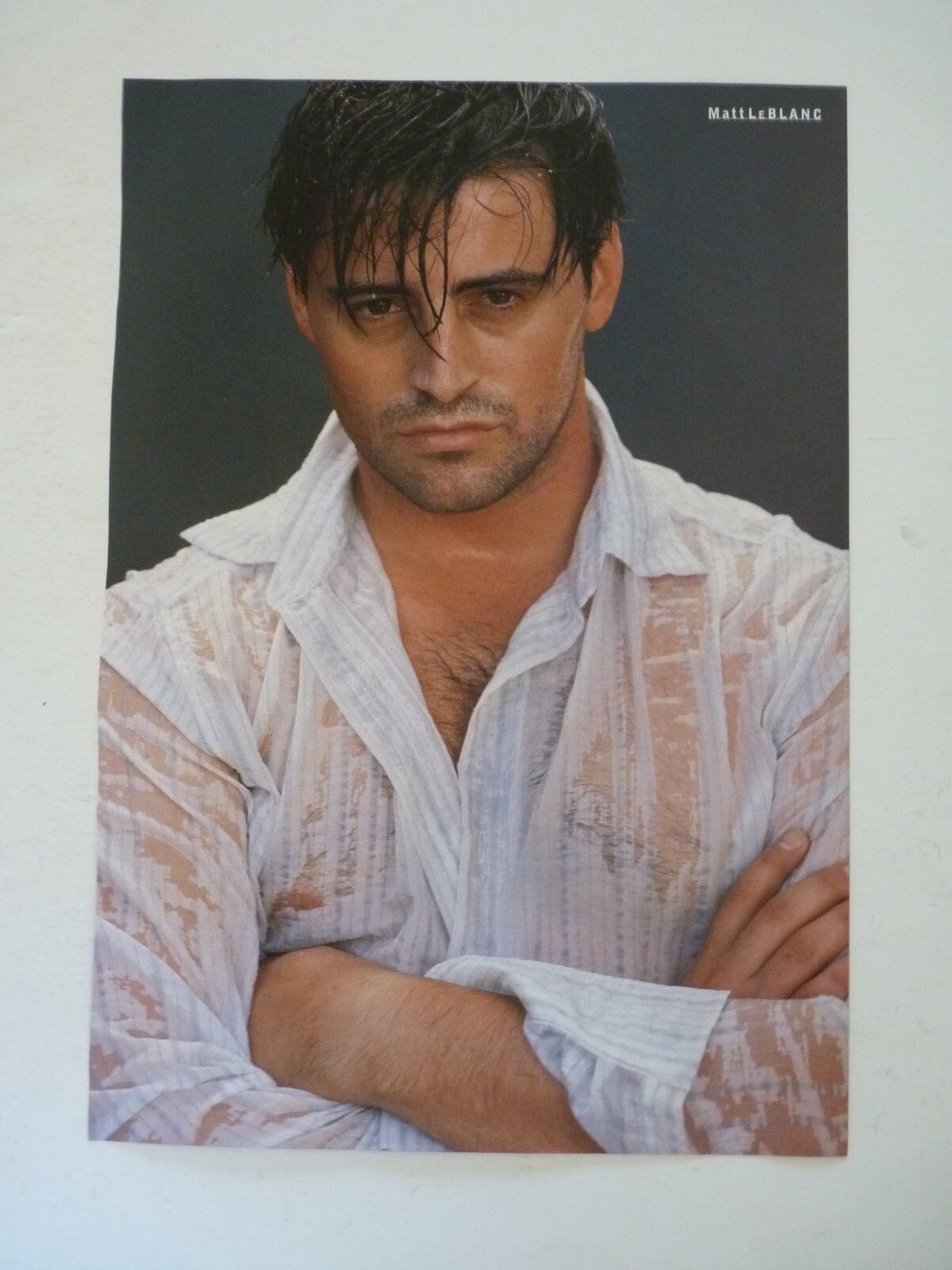 Matt LeBlanc Andie MacDowell Double Sided Coffee Table Book Photo Poster painting Page 9x13