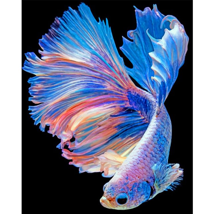 11ct point de croix estampé - poisson (40 * 50cm)
