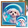 >SALE<Full Embroidery Eco-cotton Thread 11CT Printed Zodiac Dog Cross Stitch 40x40cm