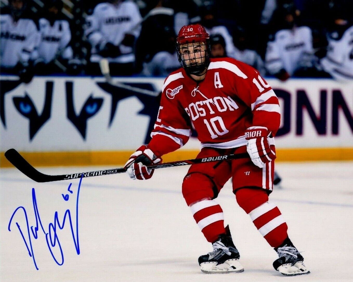 DANNY O'REGAN autographed SIGNED BOSTON COLLEGE 8x10 Photo Poster painting VEGAS GOLDEN KNIGHTS