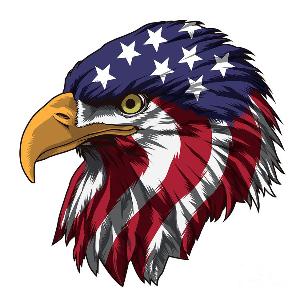 

40*40CM - Paint By Numbers - Flag Eagle, 501 Original