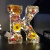 Last Day Promotion 49% OFF -Floral Resin Night Light