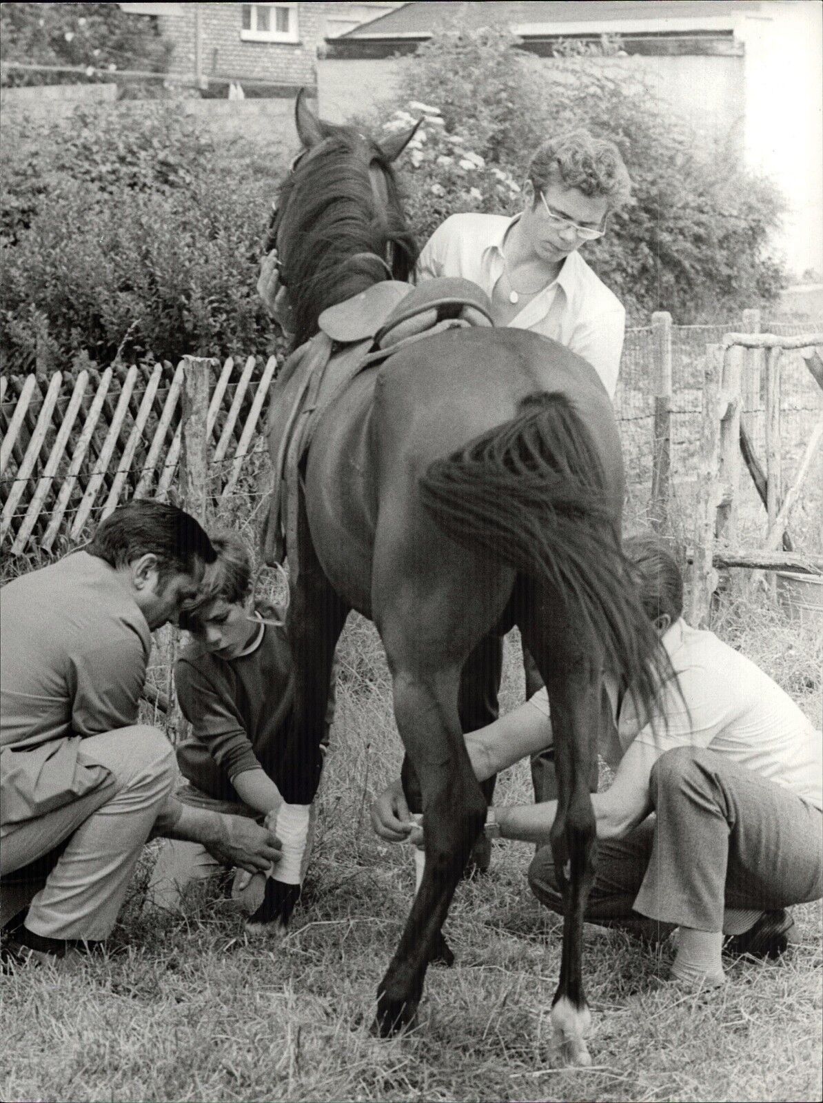 Heintje With Pony - Vintage Press Photo Poster painting Norbert Unfried (U-4652